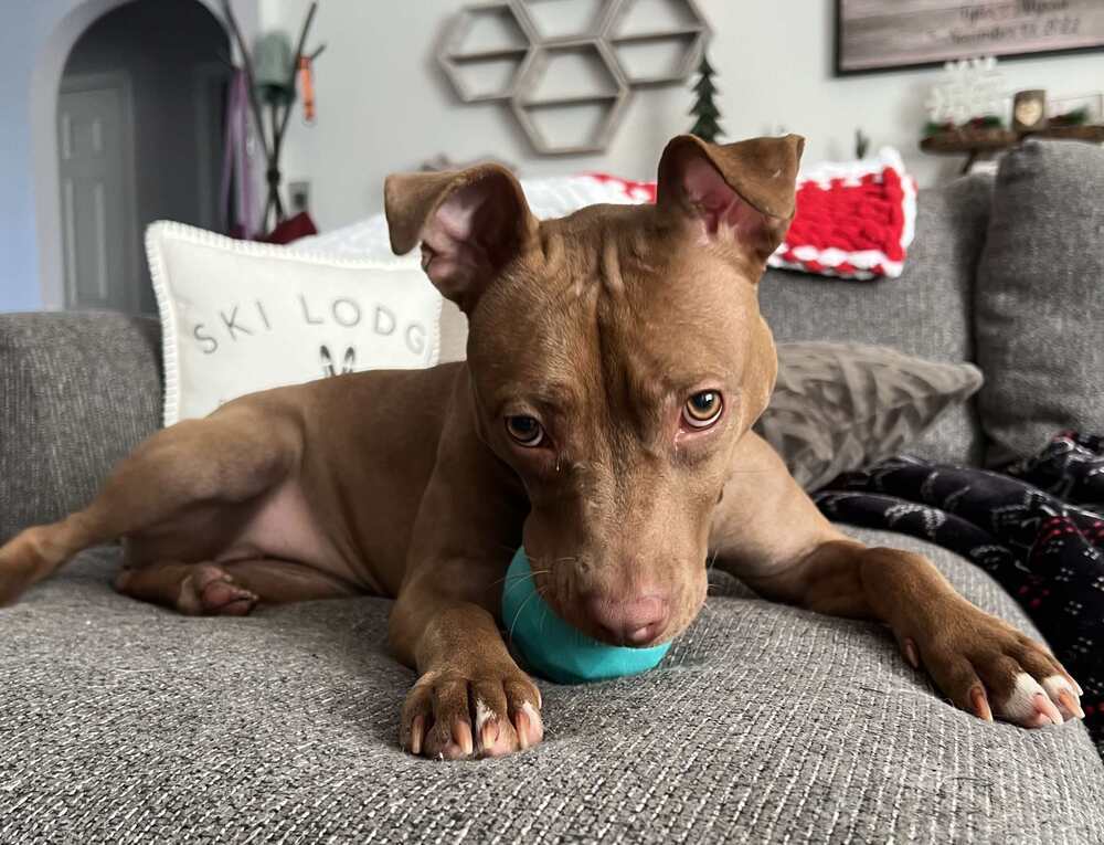 Luna