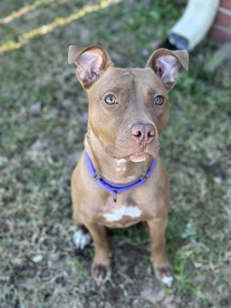 Luna