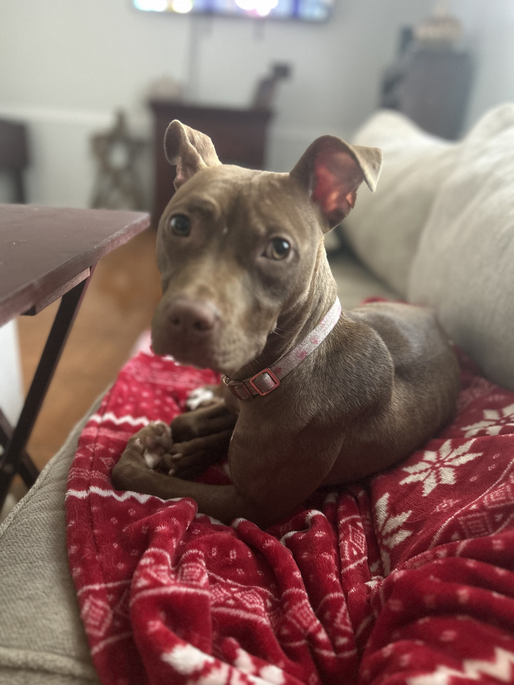 Luna