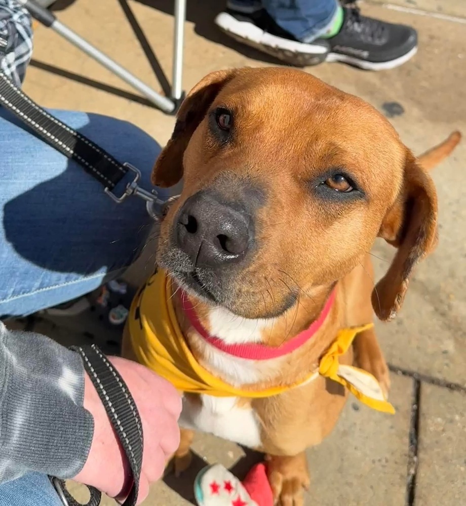 Champ (aka Chase)