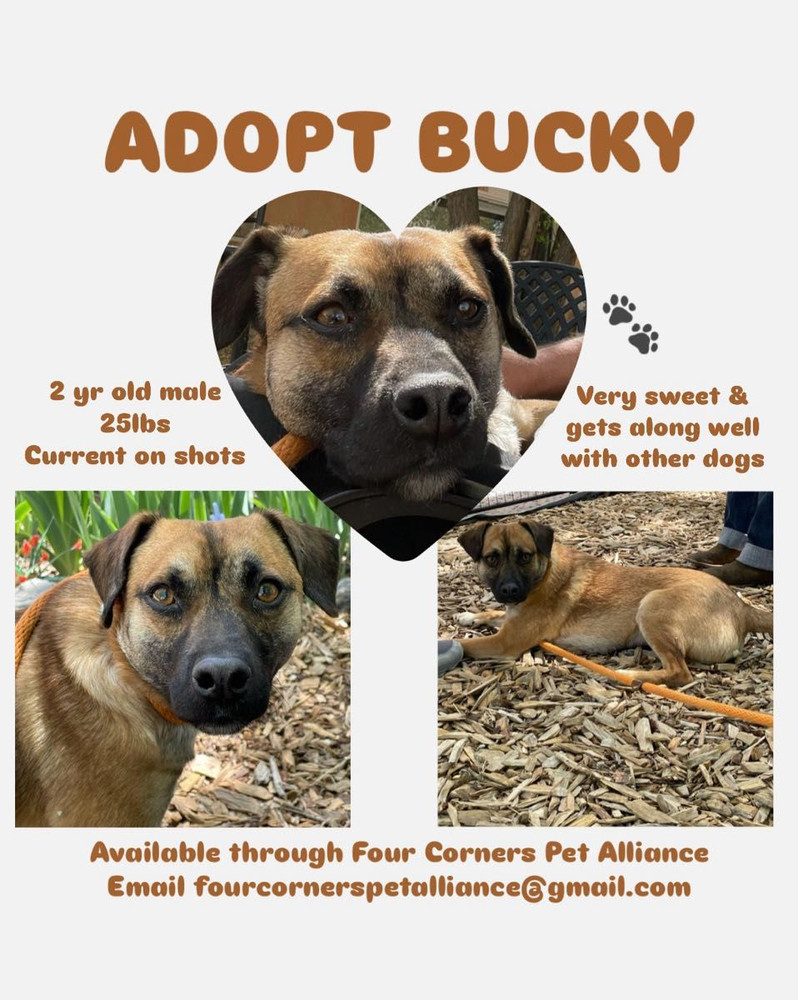 Bucky AKA Bruce