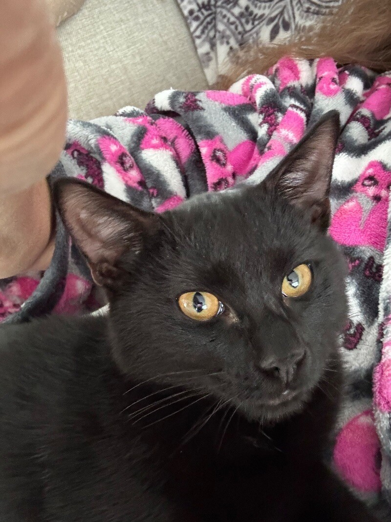 Jett