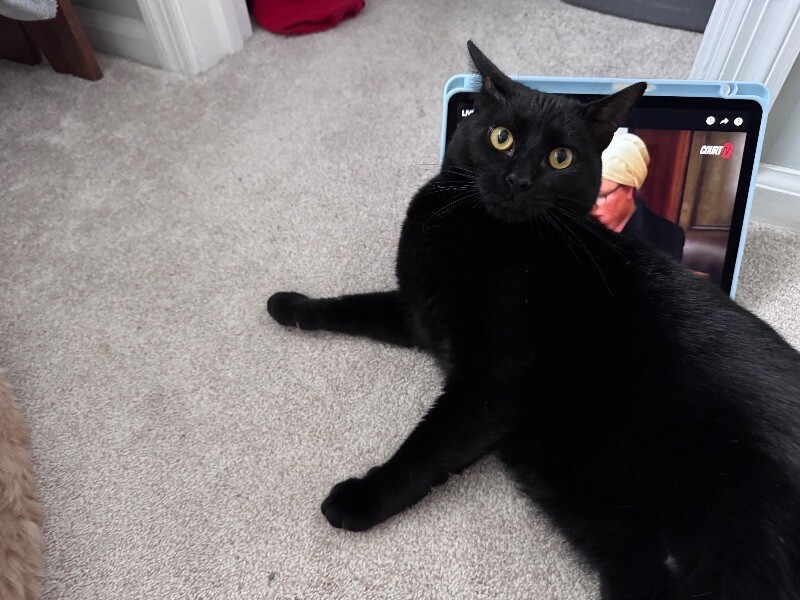 Jett
