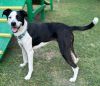 Stitch photo 3