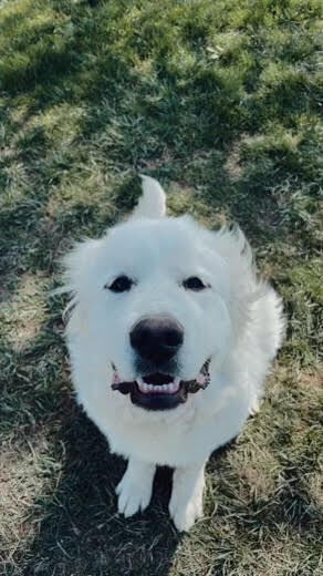 Oakley