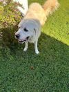 Oakley photo 3