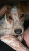 Chance photo 3