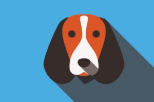 zz. Blank Adoption Application - PLEASE REFERENCE THE DOG YOU ARE INTERESTED IN THE ADDITIONAL NOTES AT THE BOTTOM OF THE APPLICATION.