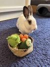 Matilda photo 1