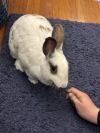 Matilda photo 2