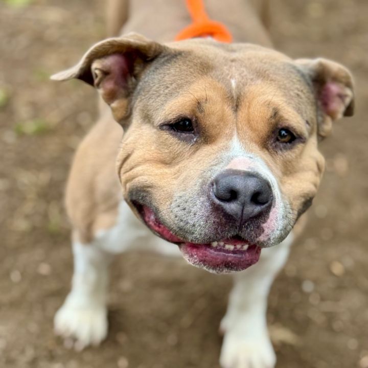 Winnie (C000-758)- Claremont Location 1