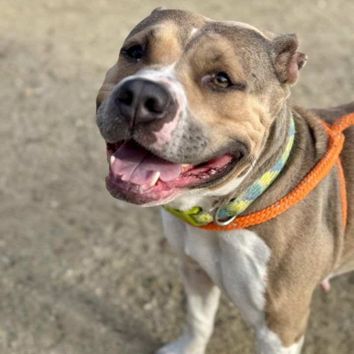Winnie (C000-758)- Claremont Location 2