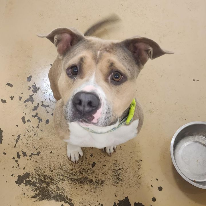 Winnie (C000-758)- Claremont Location 3