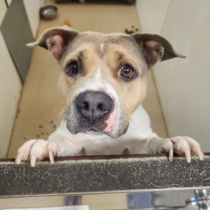 Winnie (C000-758)- Claremont Location 4