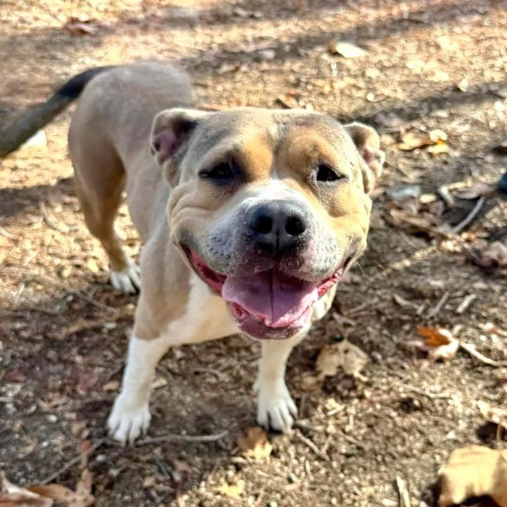 Winnie (C000-758)- Claremont Location 5