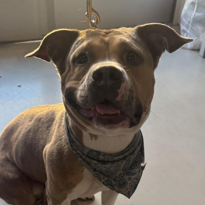 Winnie (C000-758)- Claremont Location 6