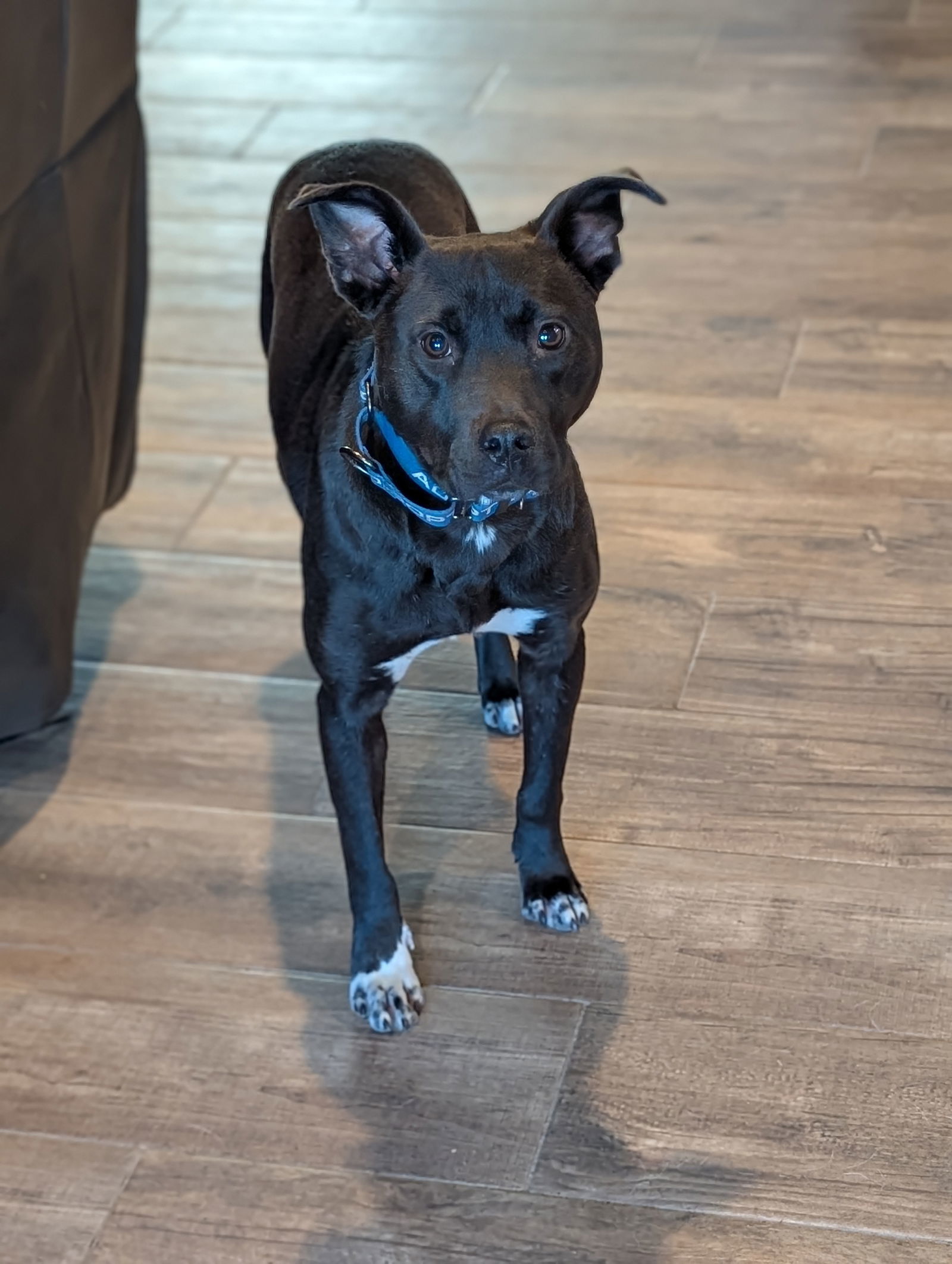 Neptune - Nice Boy!