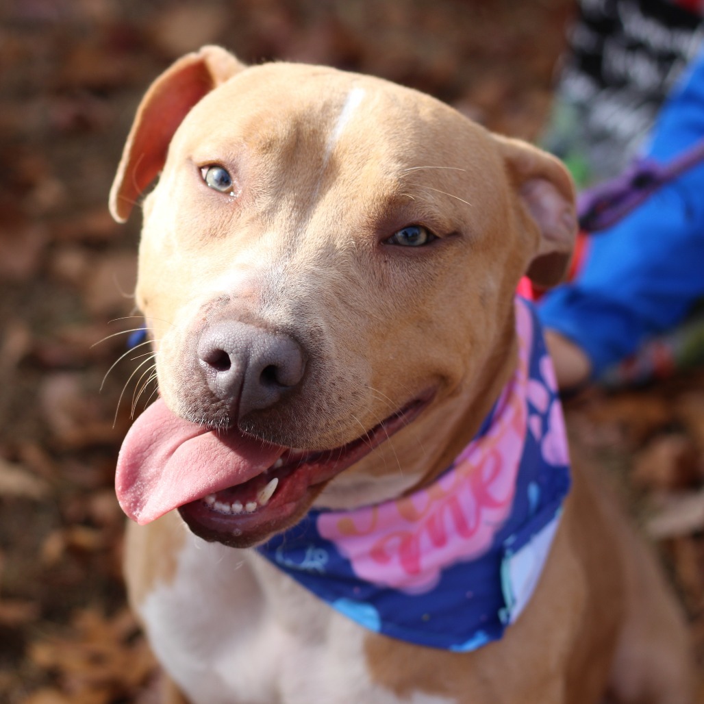Sosa (In Foster)