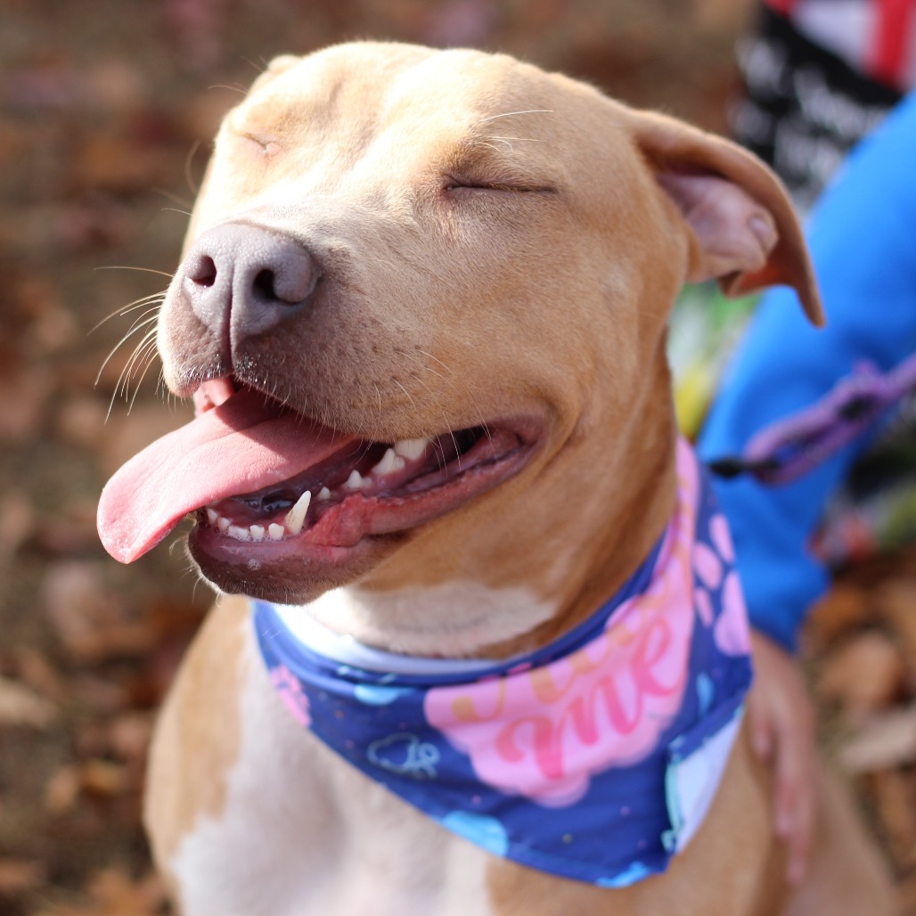 Sosa (In Foster)