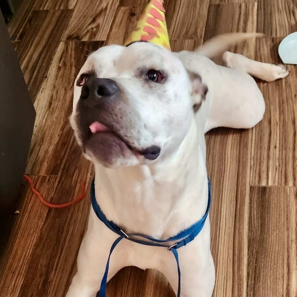 Spencer (In Foster)