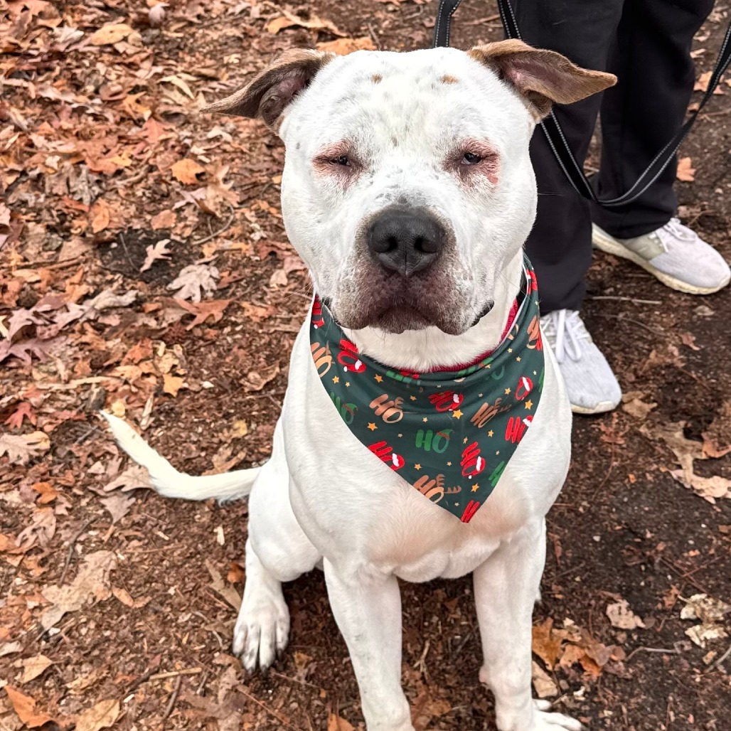 Spencer (In Foster)