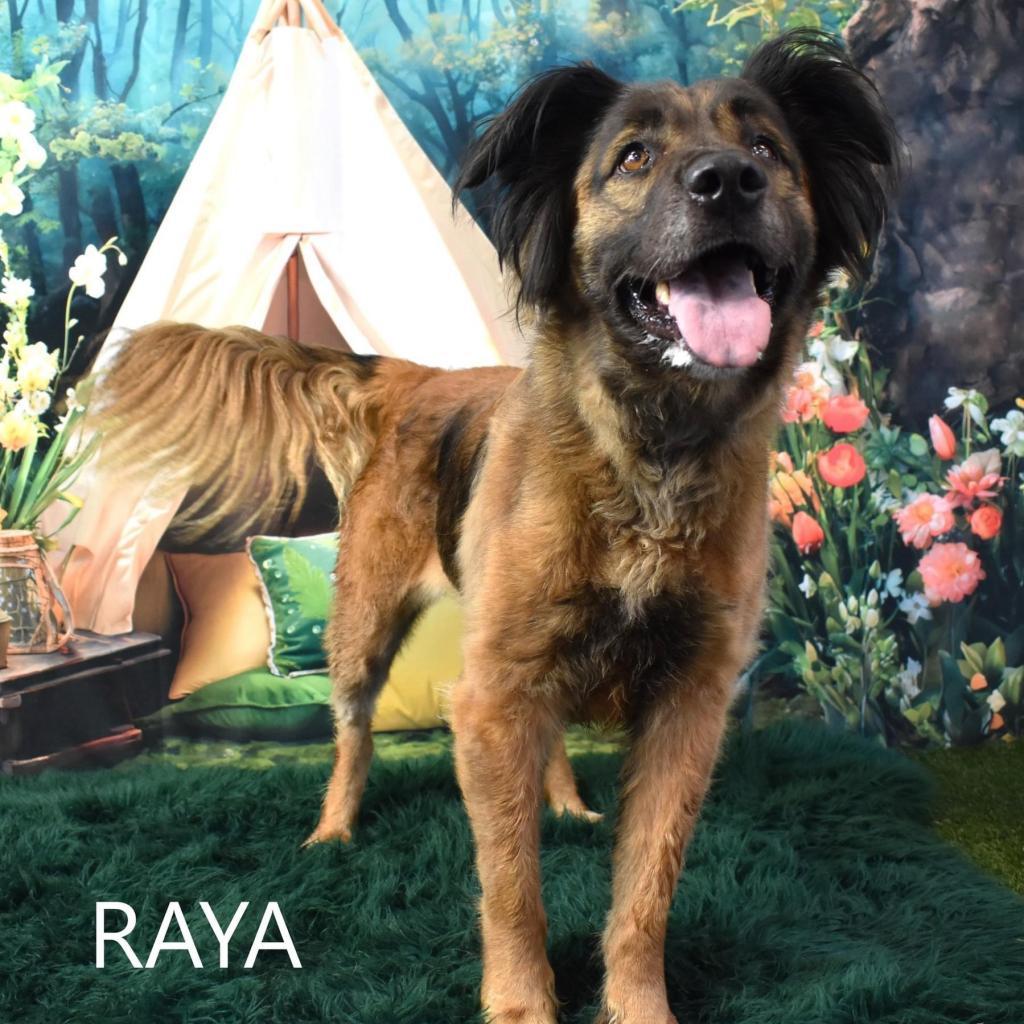 Raya