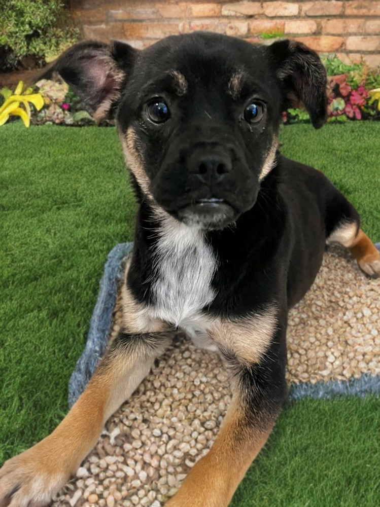 Matilda