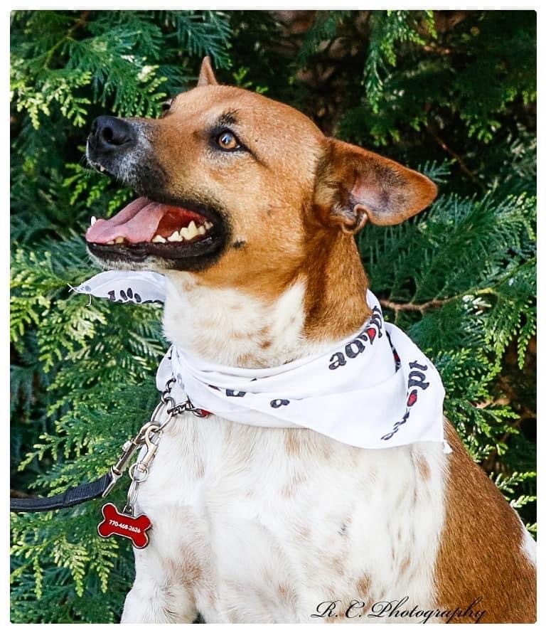 Oscar