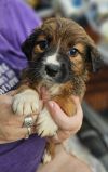 Minnie Fay photo 2