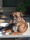 Ross aka Tucker photo 1
