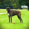 Ross aka Tucker photo 2