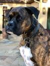 Ross aka Tucker photo 3