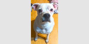 Ryleigh II, Senior Female unknown