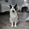 Penny photo 2