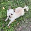Mylo Eli photo 2