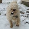 Mylo Eli photo 5