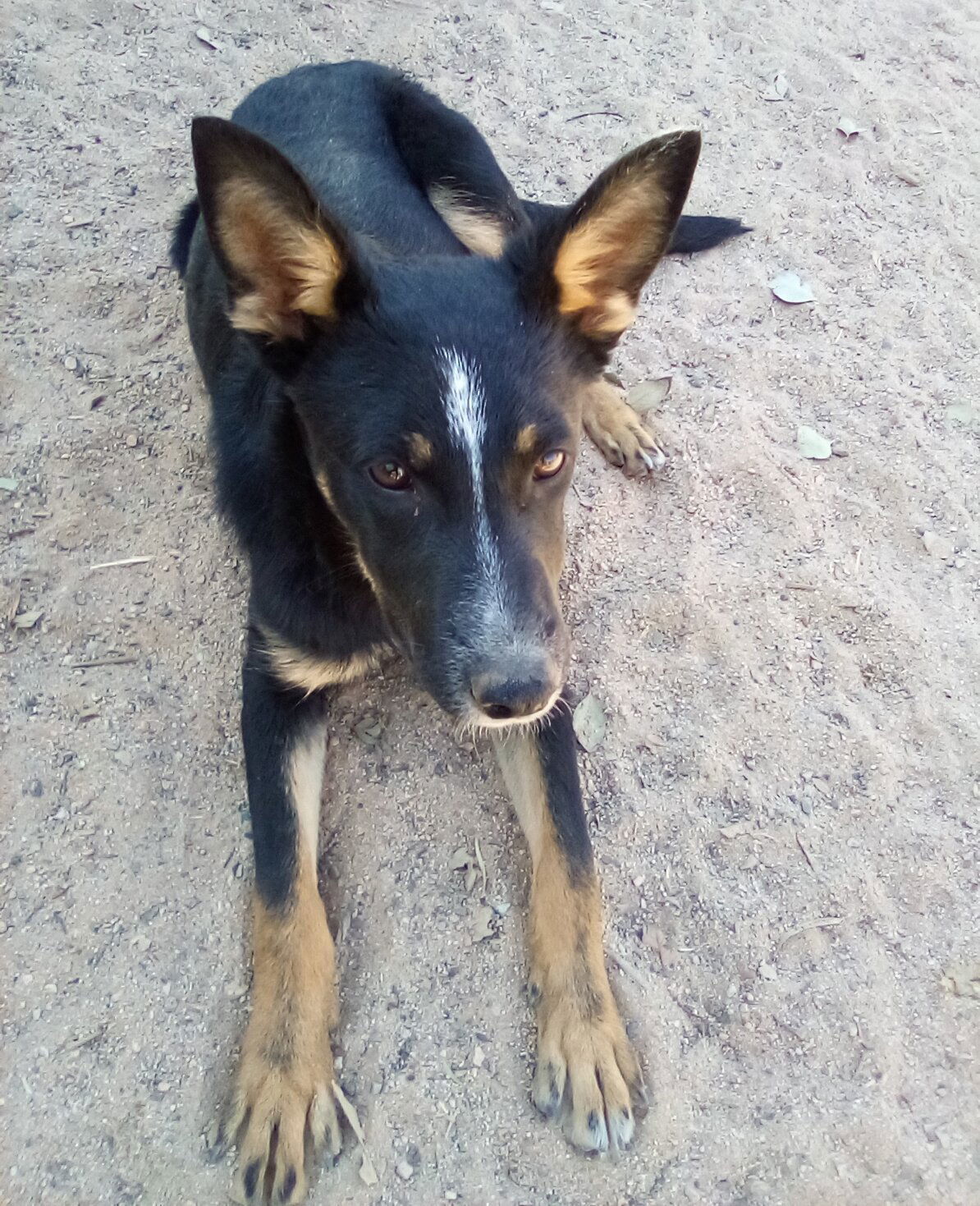 Wanda
