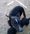 Wanda photo 2
