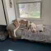 Rocko photo 3