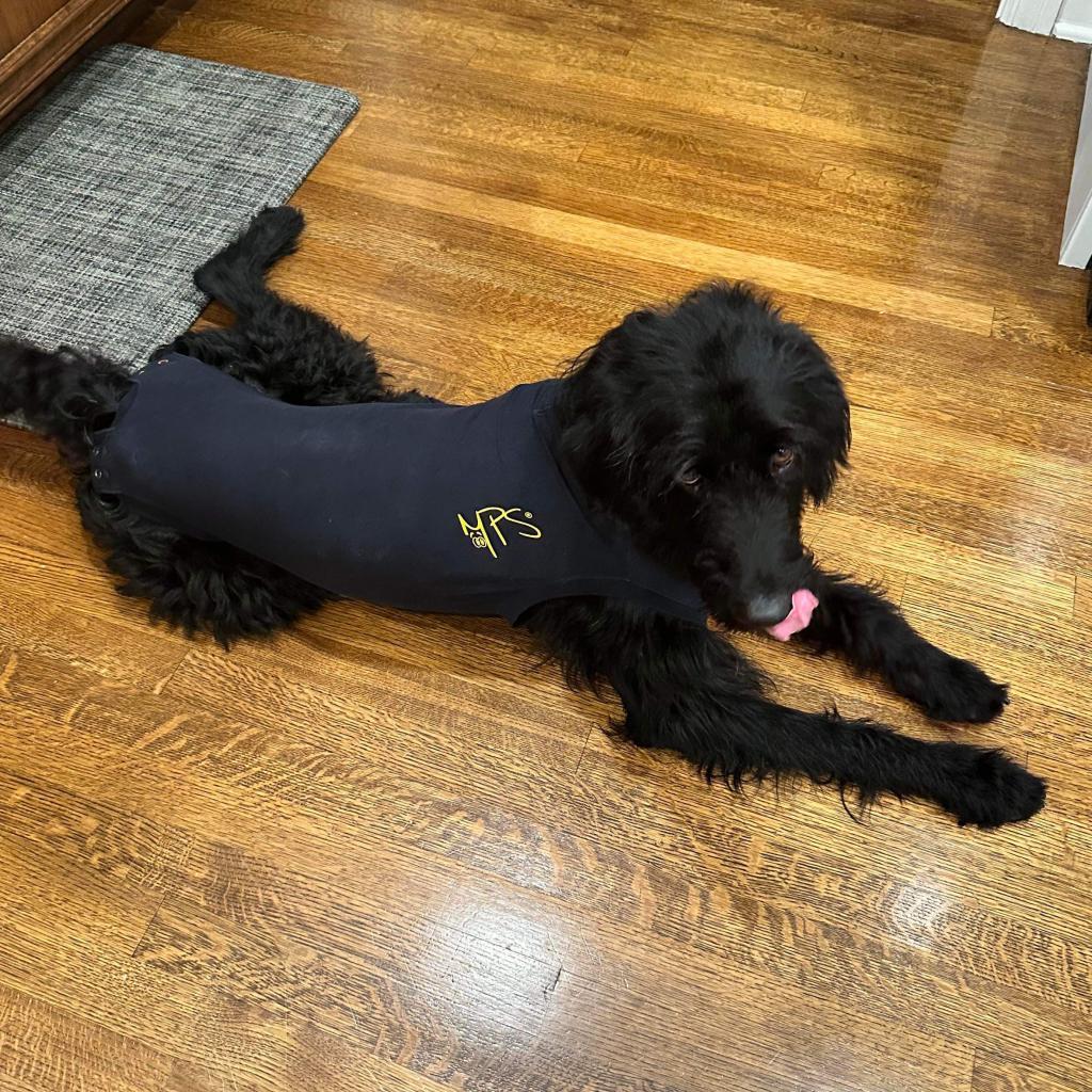 Vincenzo