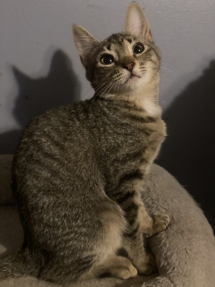 Eloise