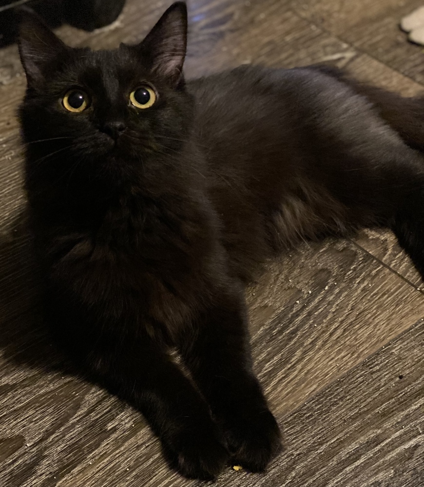 Samara