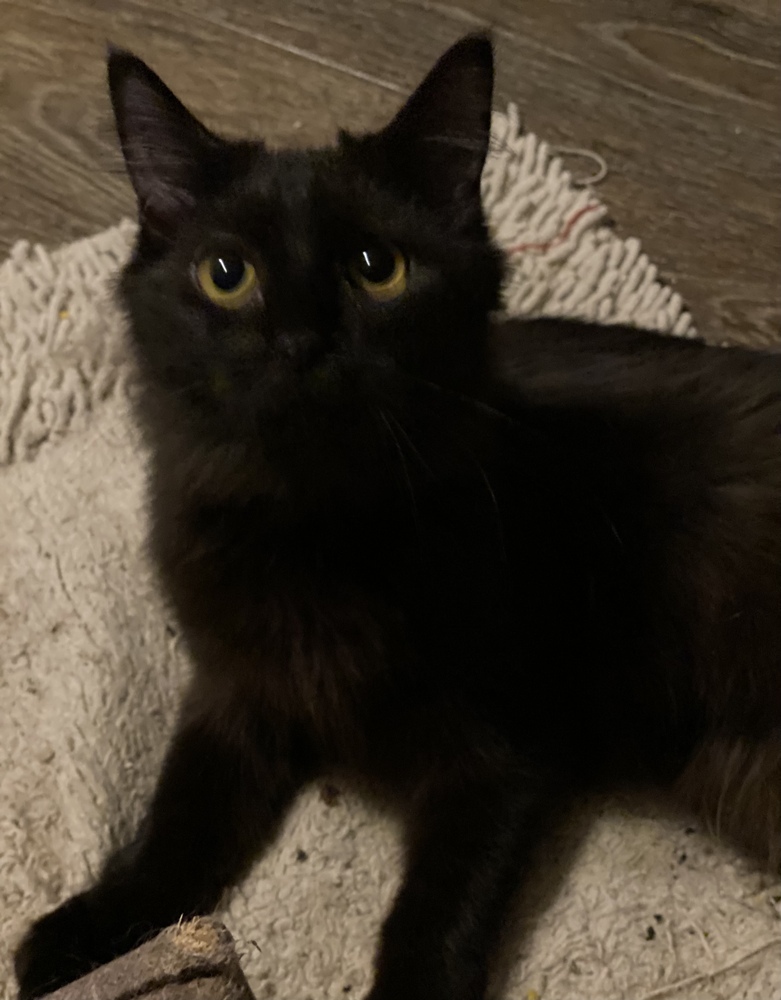 Samara