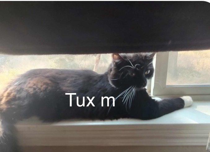 Tux