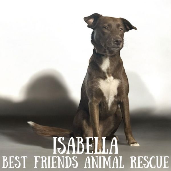 Isabella thumbnail 4