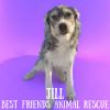 Jill