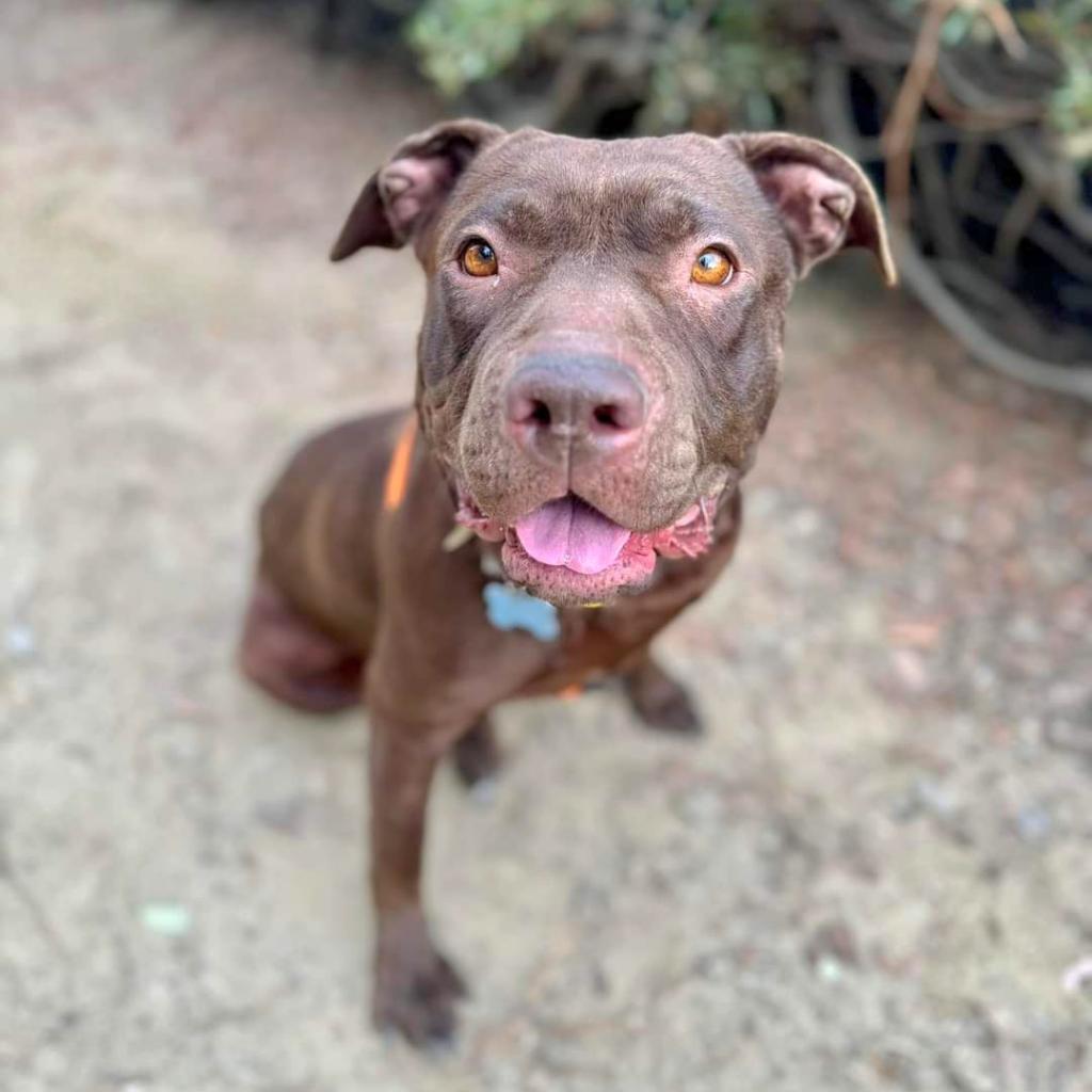 Journey (C000-631)- Chino Hills Location