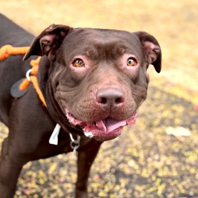 Journey (C000-631)- Chino Hills Location