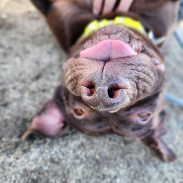 Journey (C000-631)- Chino Hills Location 3