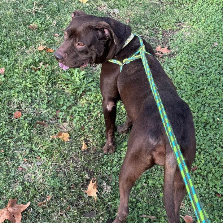 Journey (C000-631)- Chino Hills Location 5